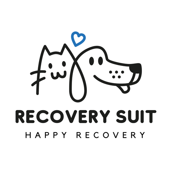 Recovery Suit