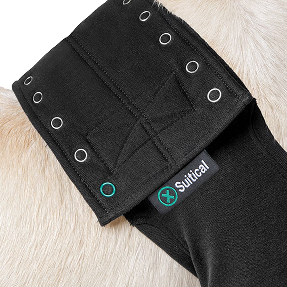 Suitical front leg recovery sleeve for dogs