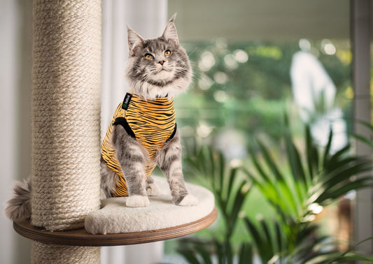 Suitical Recovery Suit Cat Tiger
