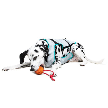 DRY Cooling Vest Dog