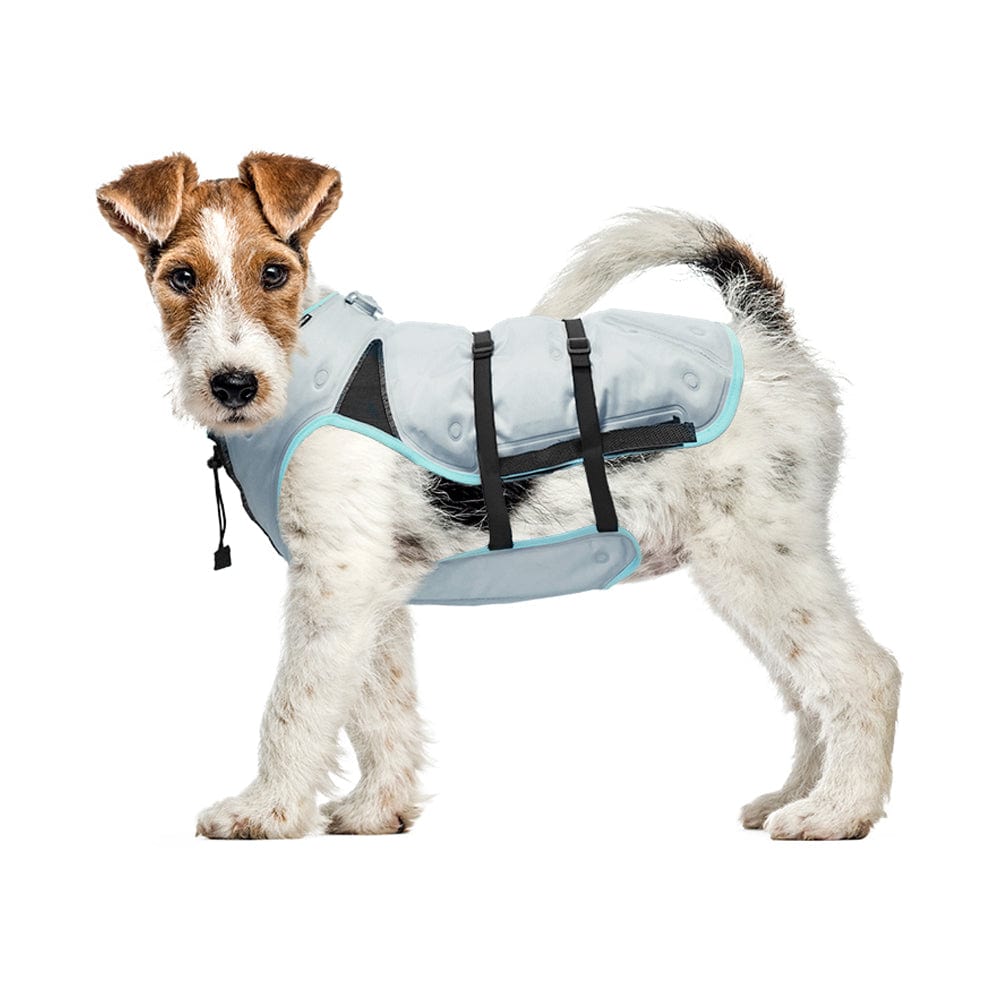 DRY Cooling Vest Dog