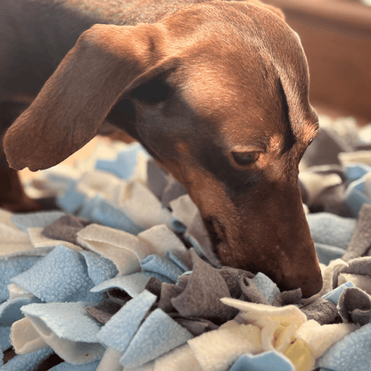 NoseyPaws Snuffle Mat