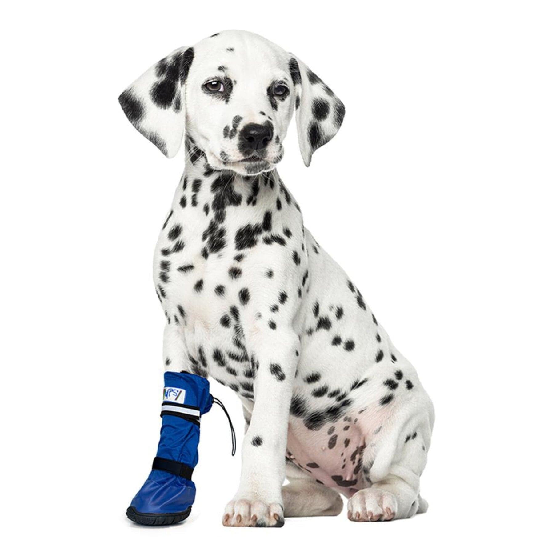 Medical 2025 pet boot