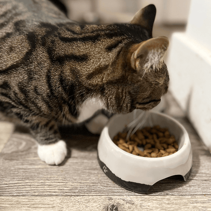 Bamboo Brown Glaze Pet Bowl