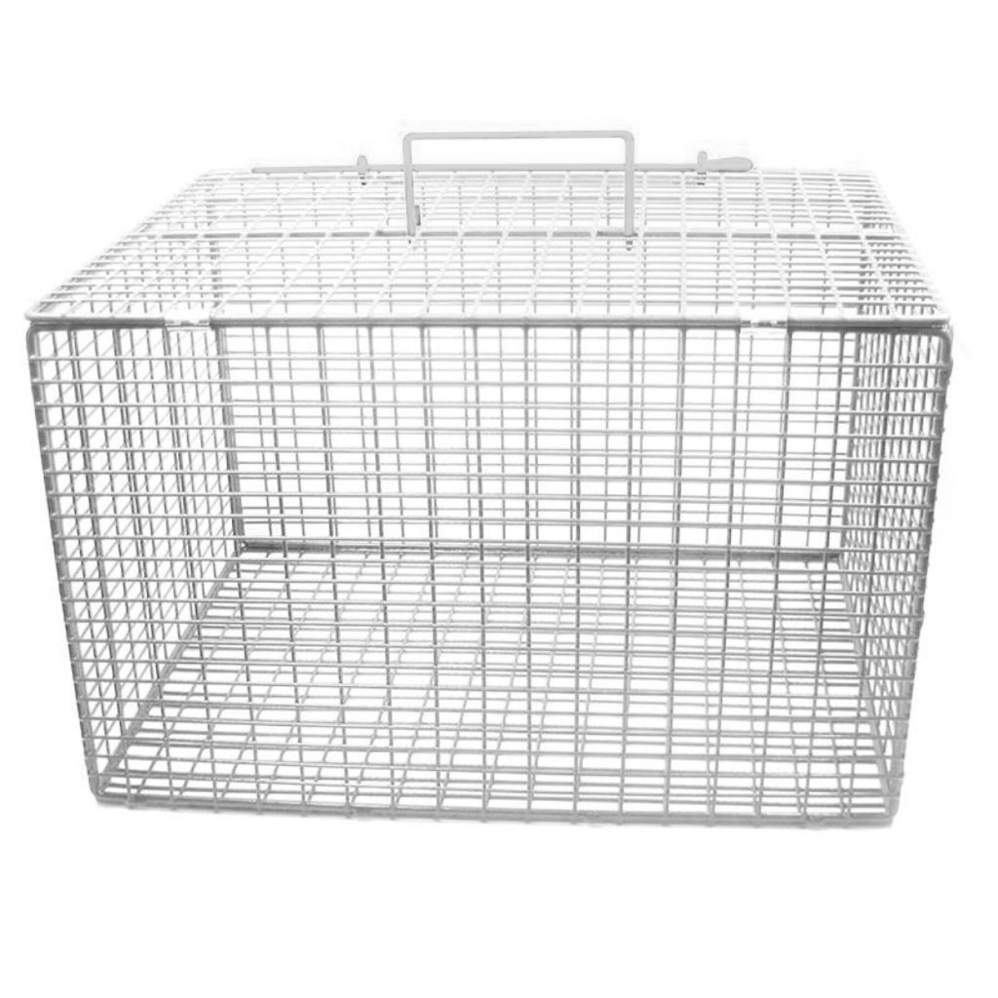 Wire Cat Cage