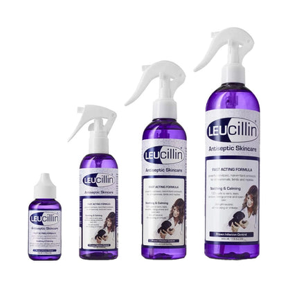 Leucillin antiseptic for cats and dogs