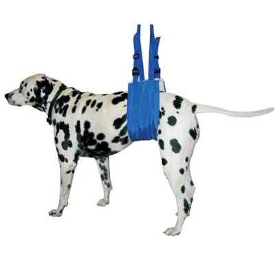 Dog support sling by Four Flags